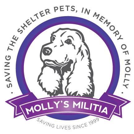 Molly's Militia 